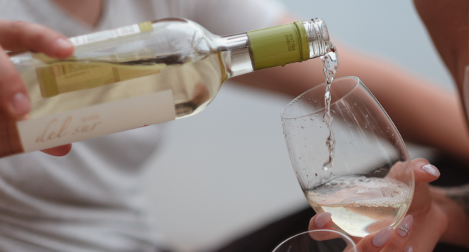 搭配指南(二) 葡萄酒