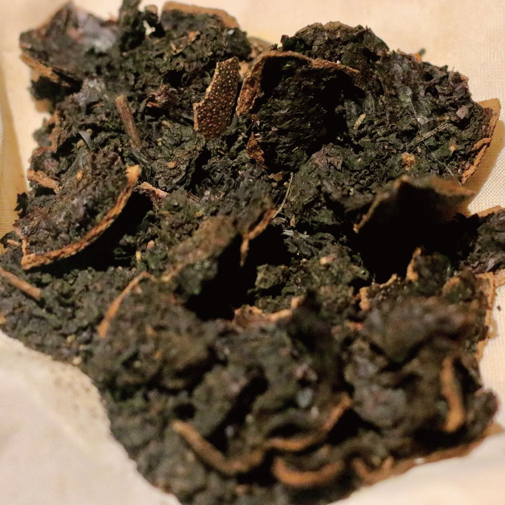 南島之夏－夏豔