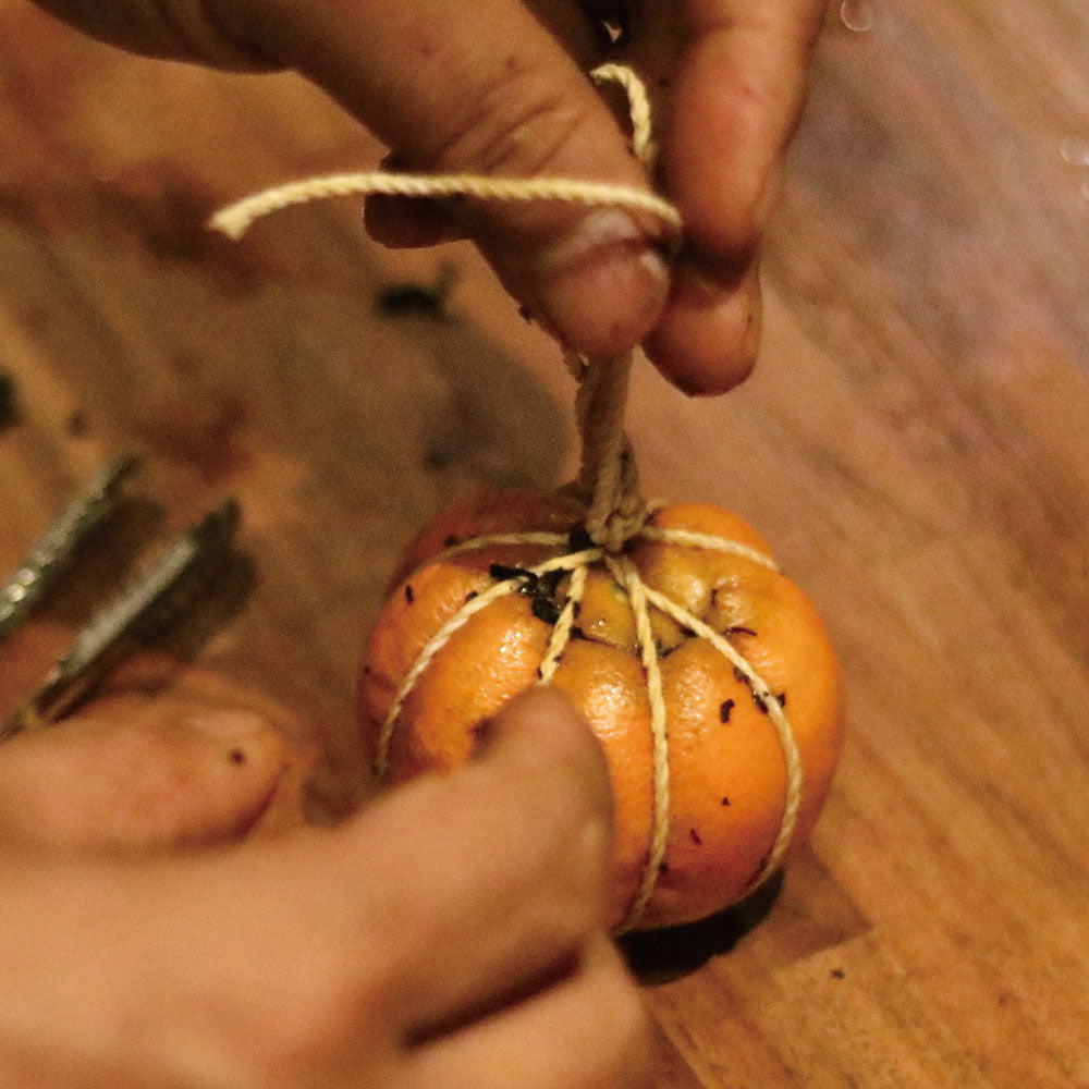 南島之夏－夏豔