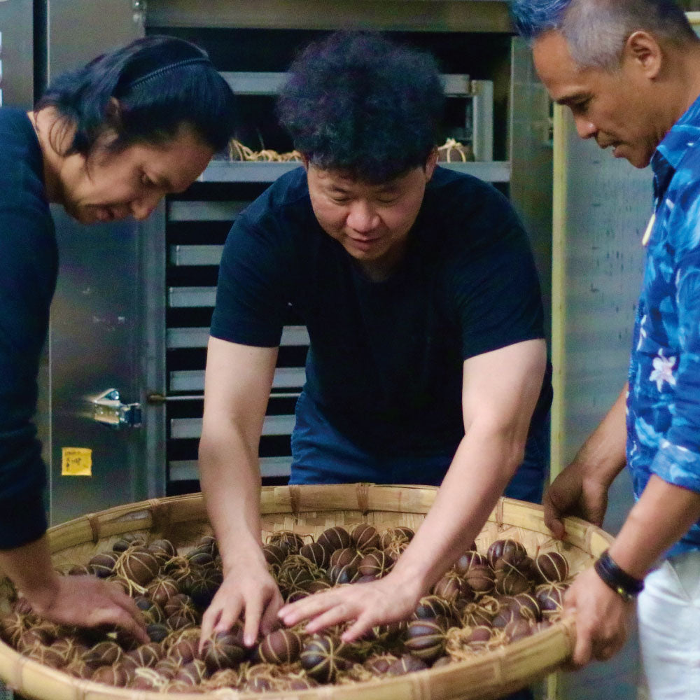 南島之夏－夏豔