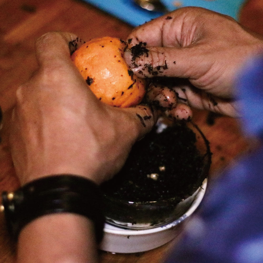 南島之夏－夏豔