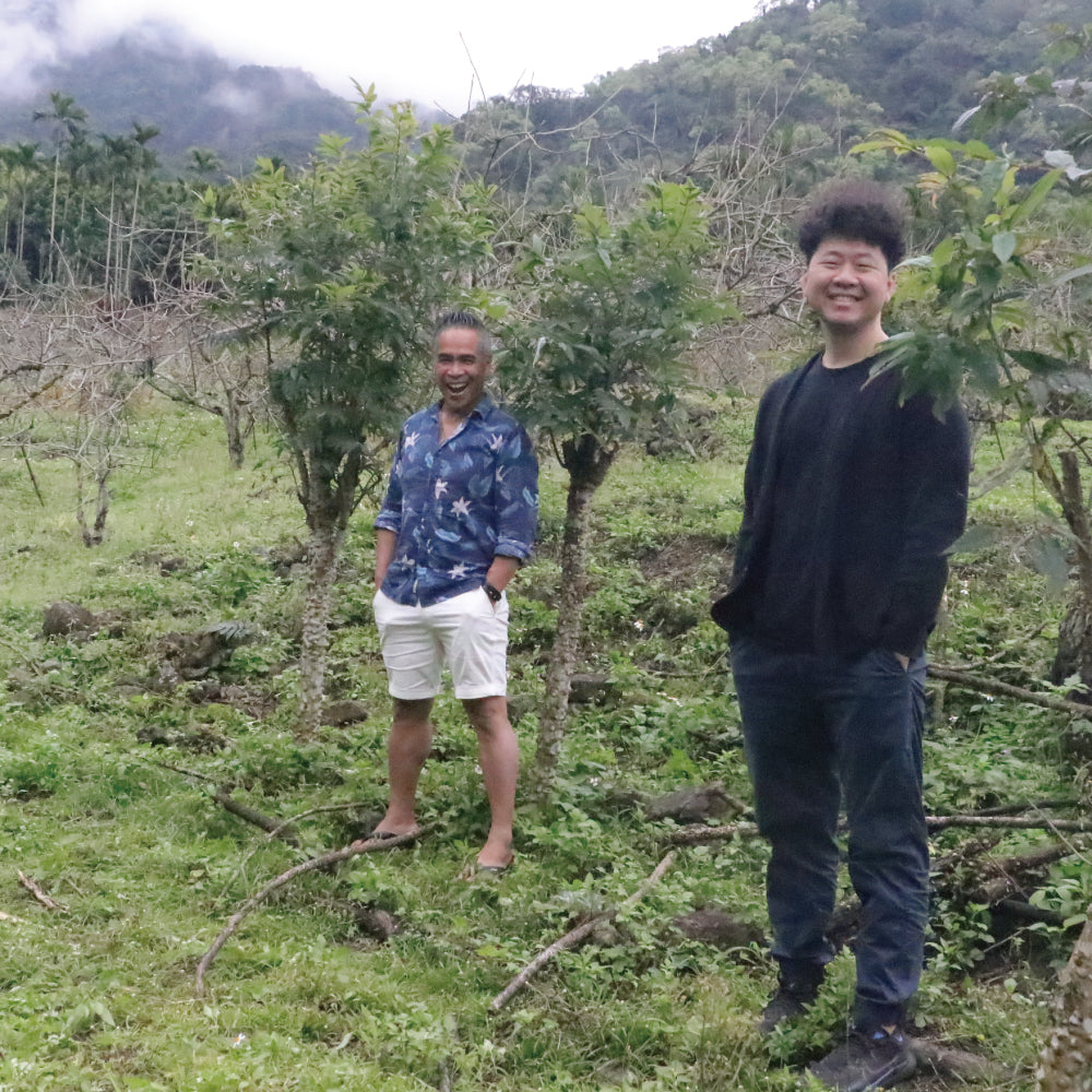 南島之春－禮讚 │ 70%蜂蜜發酵黑巧力&38刺蔥綠巧力