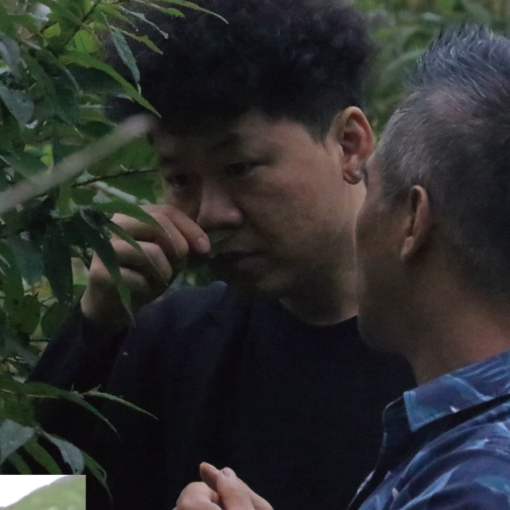 南島之春－禮讚 │ 70%蜂蜜發酵黑巧力&38刺蔥綠巧力