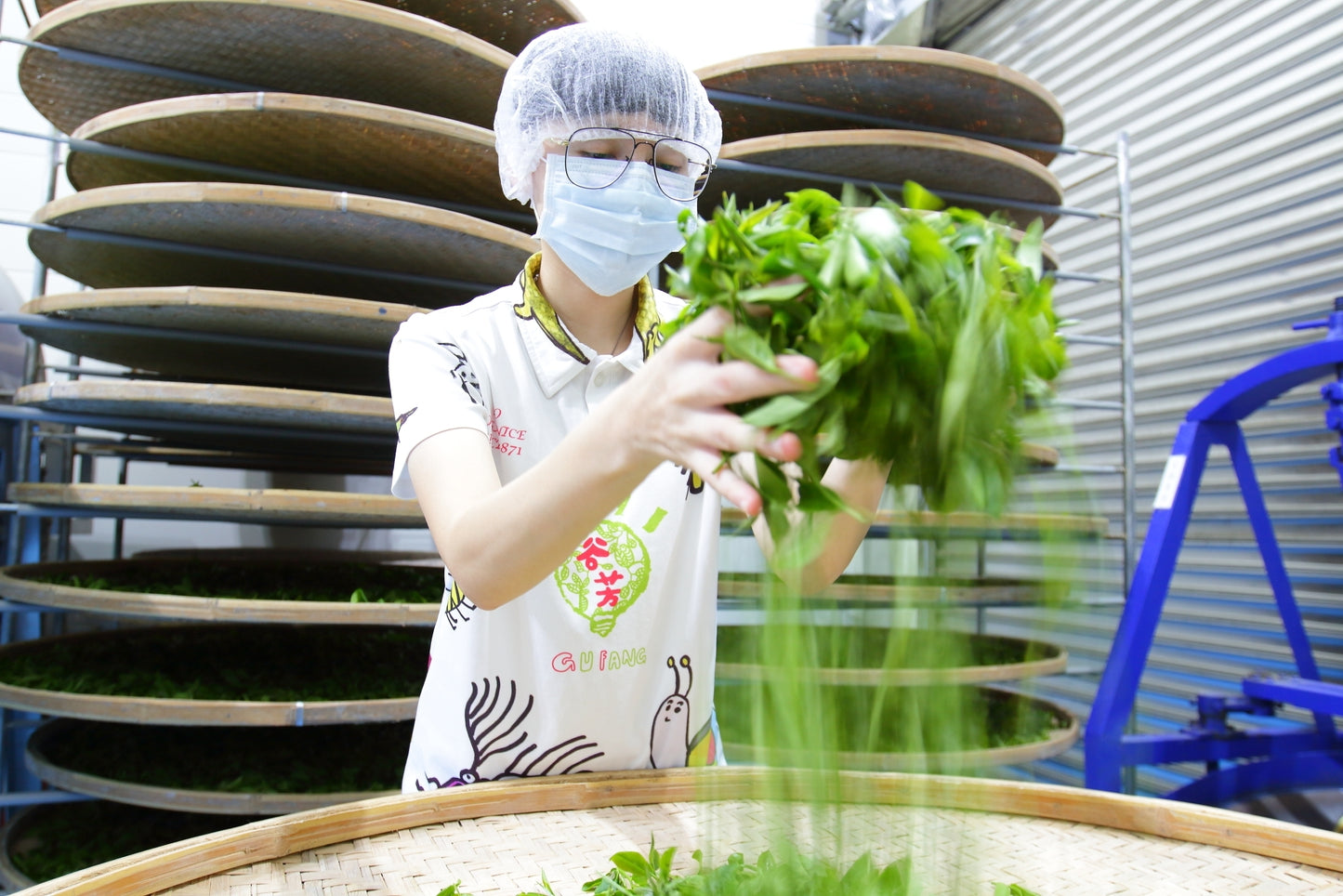 36%碧螺春生巧克力