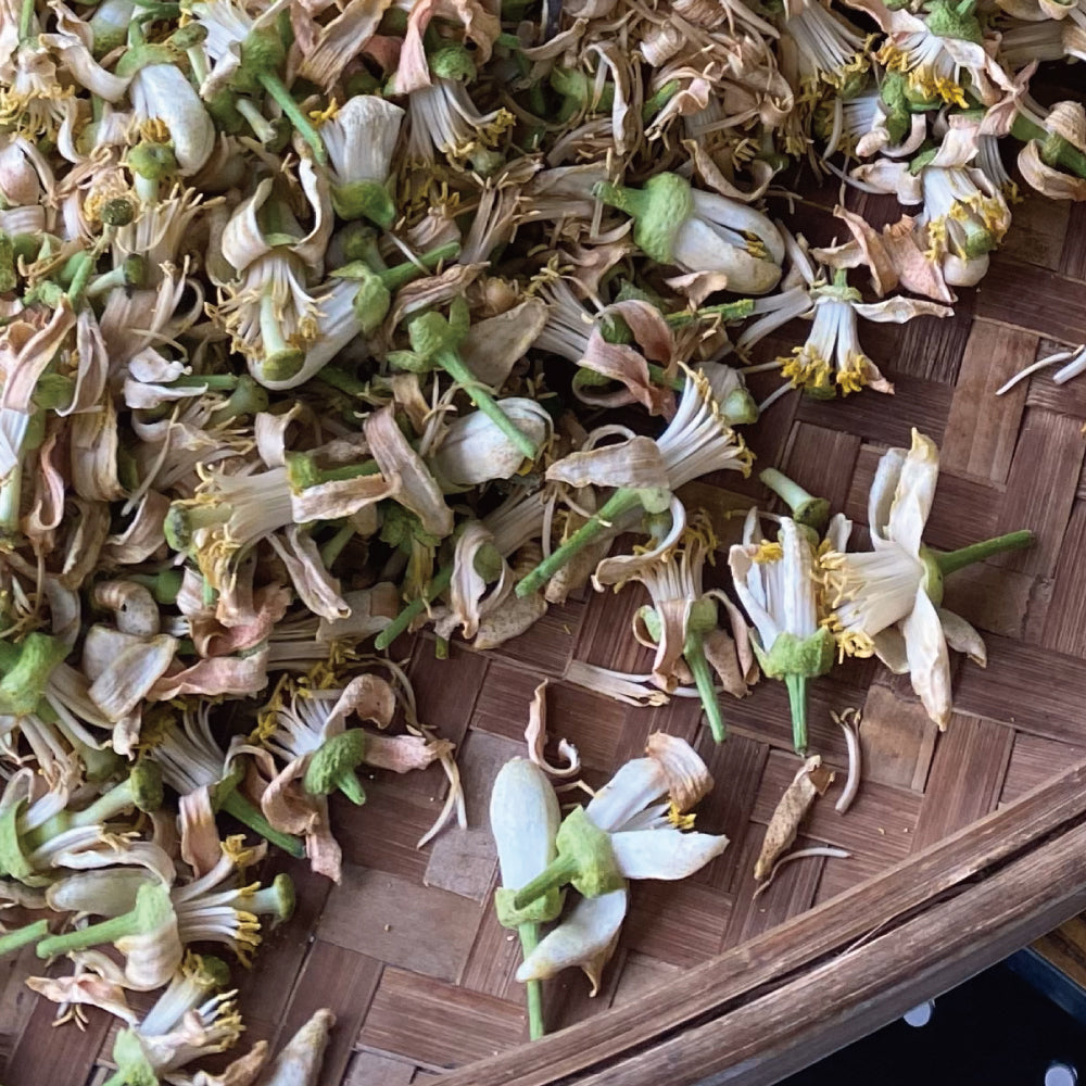 南島之秋－ 香頌 │ 柚花紅柴蜜70%黑巧克力與28%夏果巧克力