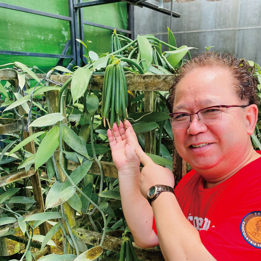 36%碧螺春生巧克力