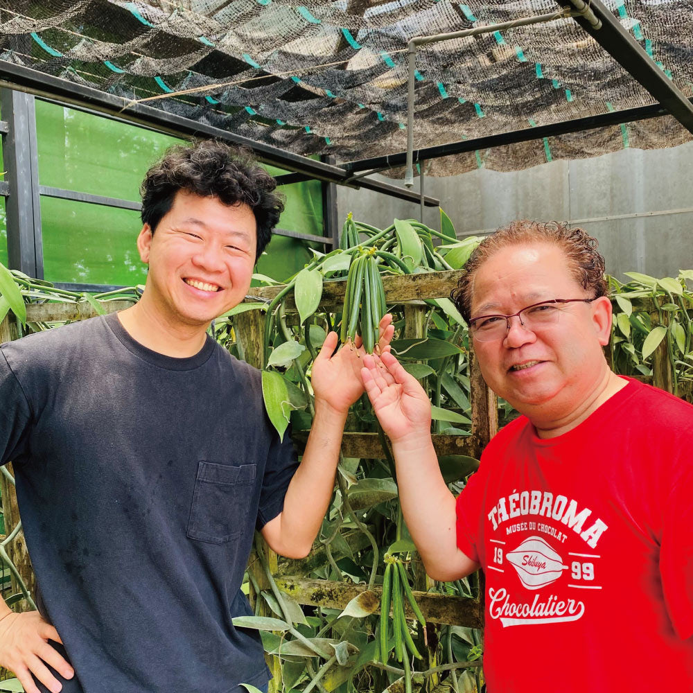 36%碧螺春生巧克力