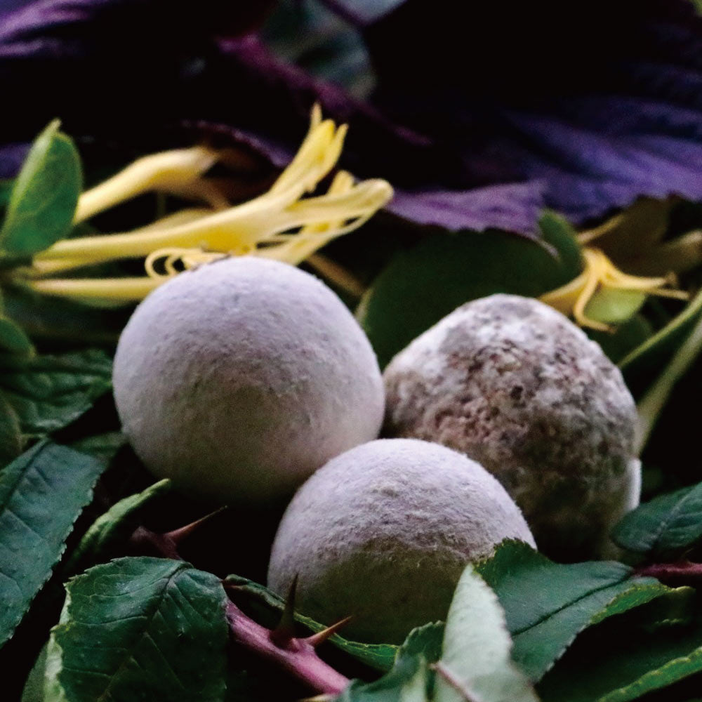 南島之冬－重生 │ 70%酒釀發酵黑巧克力與30%玫瑰荔枝巧克力