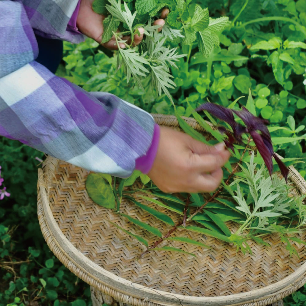 南島之冬－重生 │ 70%酒釀發酵黑巧克力與30%玫瑰荔枝巧克力