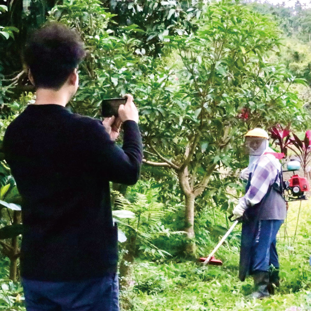 南島之冬－重生 │ 70%酒釀發酵黑巧克力與30%玫瑰荔枝巧克力