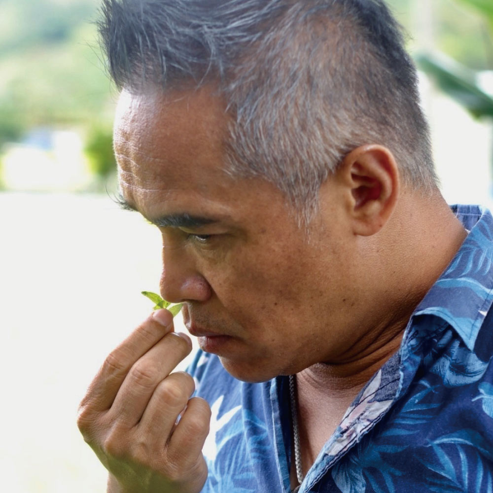 南島之冬－重生 │ 70%酒釀發酵黑巧克力與30%玫瑰荔枝巧克力